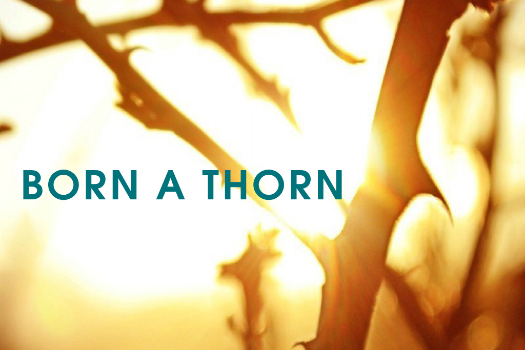 Born a Thorn