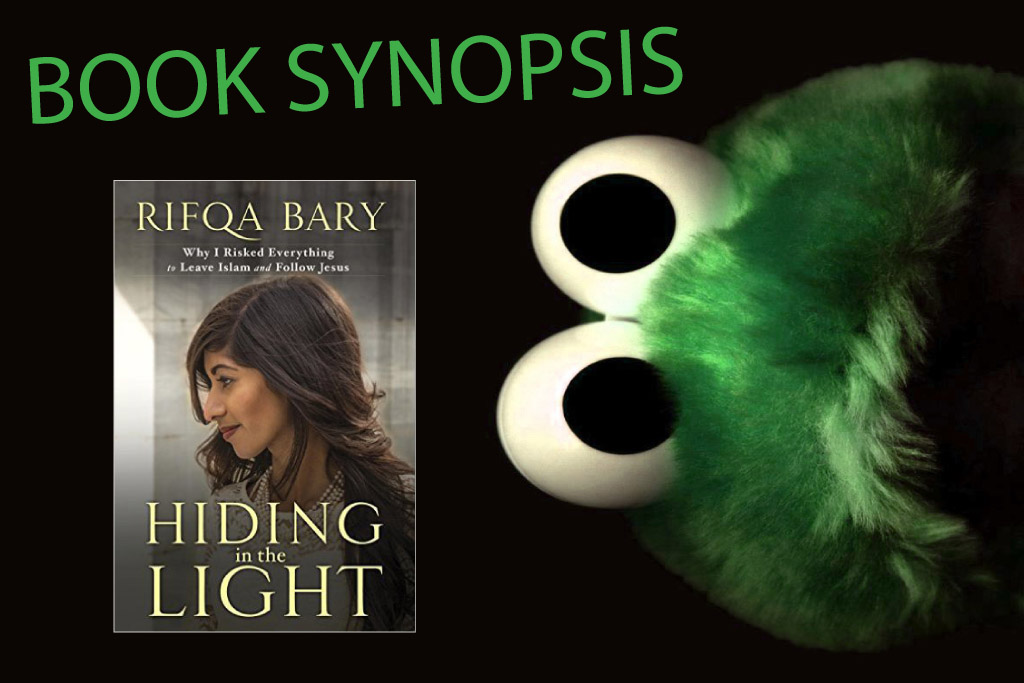 Book Synopsis - Hiding in the Light