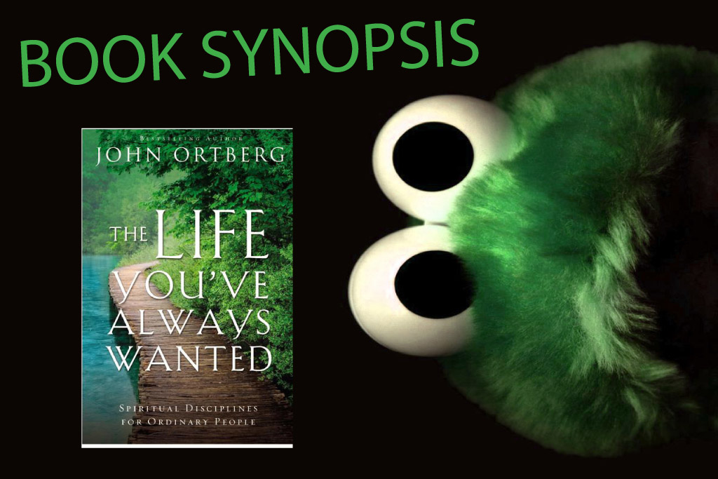 Book Synopsis - The Life You've Always Wanted